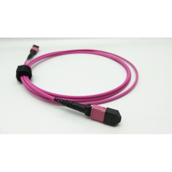 OM1 OM2 OM4 Multimode MM MPO MTP Trunk Cable