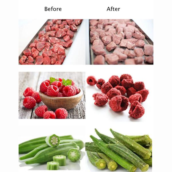 Промышленная лаборатория Домашний мини-сушильщик для заморозки Мгновенный кофе Цветы травы Пищевые лиофилизаторы