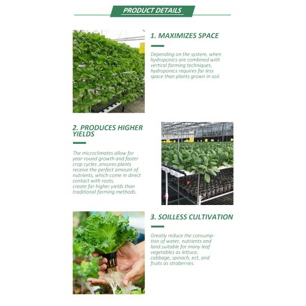 Vertical Soilless Cultivation Planting Lettuce Hydroponic System Indoor Ebb Flow Hydroponics Growing System