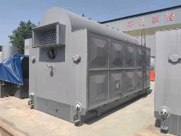 PLC Coal Burning Industrial Steam Boiler Food Processing Industry