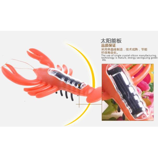 Small Cute Solar Powered Animal Kids Educational Birthday Gifts Solar Lobster