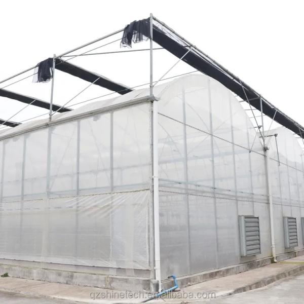 Multi Span Agricultural Greenhouses With PE Film Covering And Gutter Connection