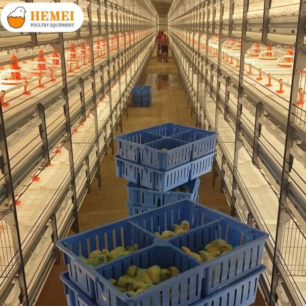 Multi Tier Automatic Bird Harvesting Broiler Chicken Cage