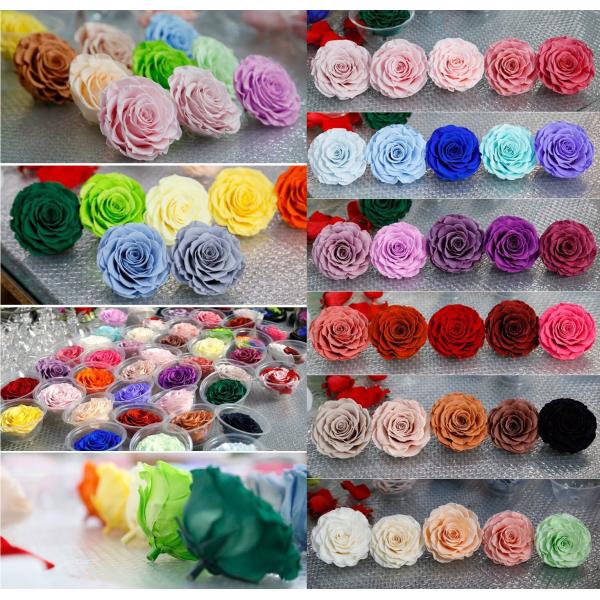 Factory wholesale real touch high quality multi color natural preserved roses at cheap price Christmas gift