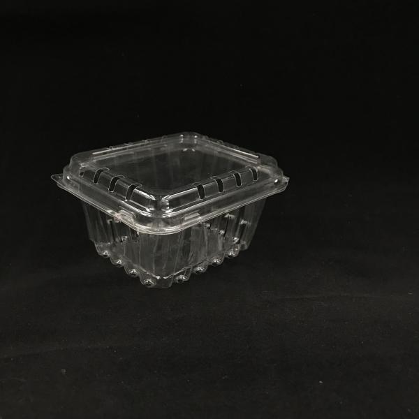 Eco Friendly Disposable Clear Plastic Blister Plastic Packaging Boxes 500g