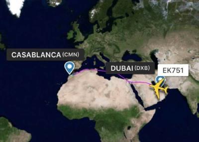 High Efficiency Air Cargo Freight Forwarders Fast Goods Pick Up
