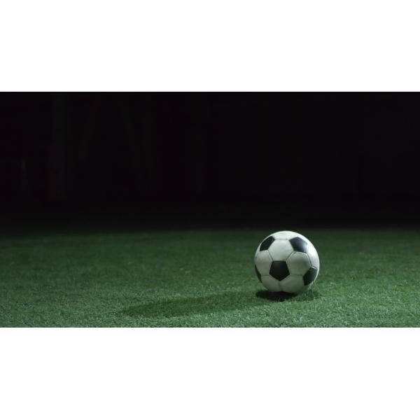 30mm Density 25200 Stitches 240 S/M Cesped Sintetico Artificial Grass Football