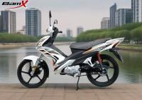 5kw 8000rpm Matte Black Street Bike Sportbike Crystal Lamp Rear Rack 110cc Automatic Dirt Bike
