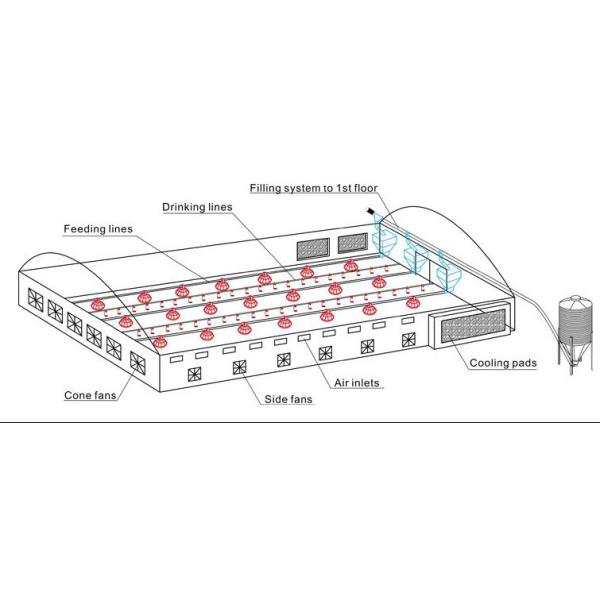 Бройлера птицы питаться оборудование для курятника