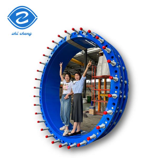 ms dismantling joint dn100 dn250 dn300 Galvanized Carbon Steel Single Flange Limit Expansion Ductile Iron