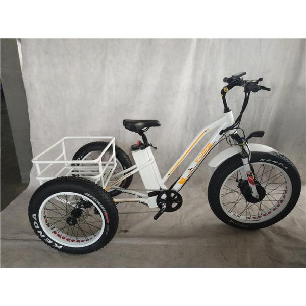 Adult Fat Tyre Cycle E Ebike Electric Bike 48V 1000W 21A Central Mid Drive Motor 26 Inch