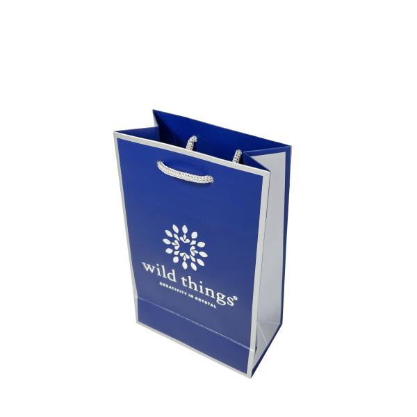 Pantone Color Ivory Board Jewellery Handbags Custom Paper Shopping Bags