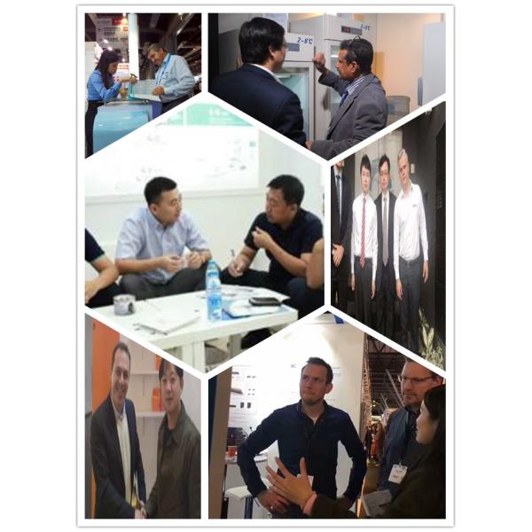 Combined Pharmacy Medical Laboratory Refrigerator 300l Capacity Ce Approved