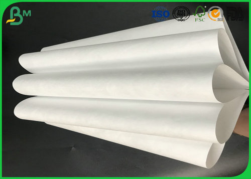 papel do tyvek Grande brilho 200gsm ou o outro papel lustroso Rolls da foto de Grammages para imprimir fotos da porcelana