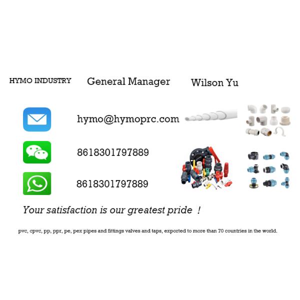 Socket/Thread Connection PVC High Pressure Ball Valve with Blue Handle in White Grey