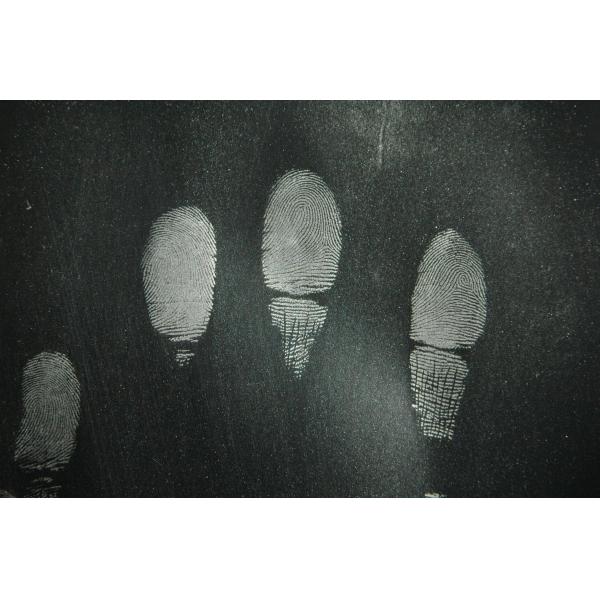 C123 Glod/silver spherical fingerprint powder