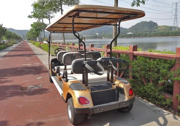 Custom Portable Electric Sightseeing Car 8 Seats Electric Golf Cart 48V 4KW