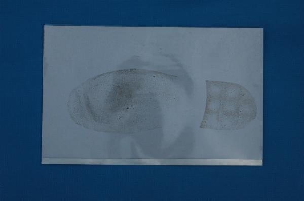G043 White sticker footprint sample collecting sheet