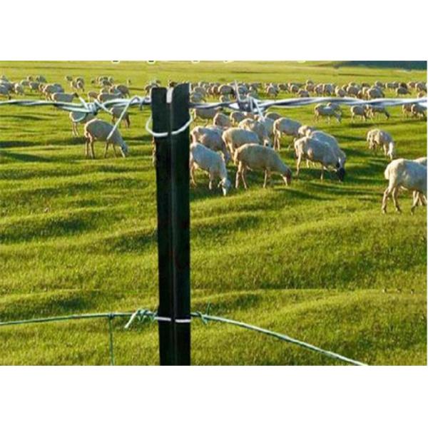 piquete da estrela do metal de 2.45kg/m 7ft