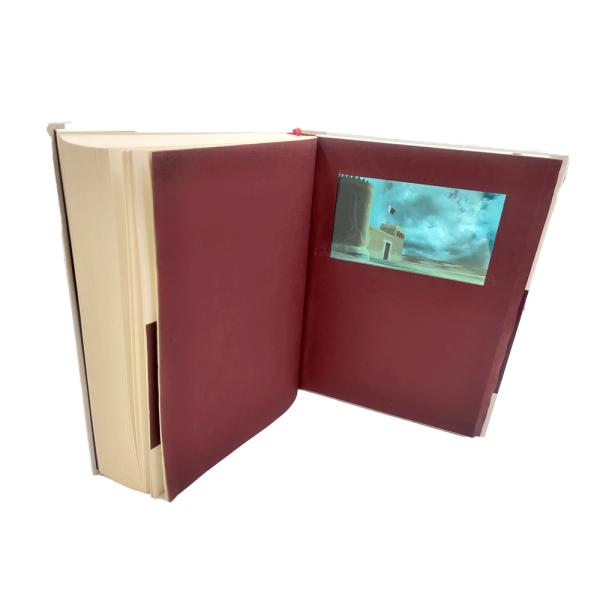 Memória video de mercado do ODM 5GB da definição do livro 1024x600 do casamento