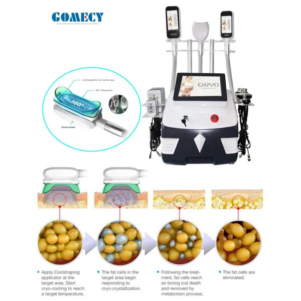 500W Portable 360 Cryolipolysis Cryo Fat reduction Machine