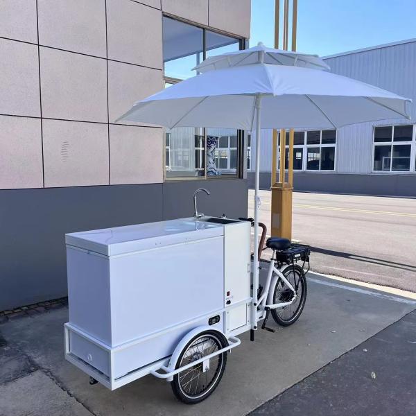 Ice Cream Cabinet Three Wheel Bike Restaurant Retail 200L Electric Ice Cream Bicycle Freezer