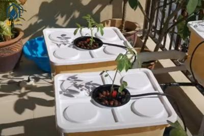 Greenhouse PP Hydroponic Dutch Bucket System For Vine Tomatoes Planting