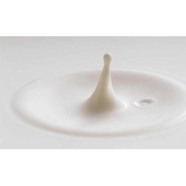 Origin Nutritional Vanilla Flavor Powder Calf Livestock Feed Flavoring