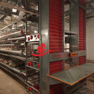 High-end Layer Chicken Cage System with Reliable Systems