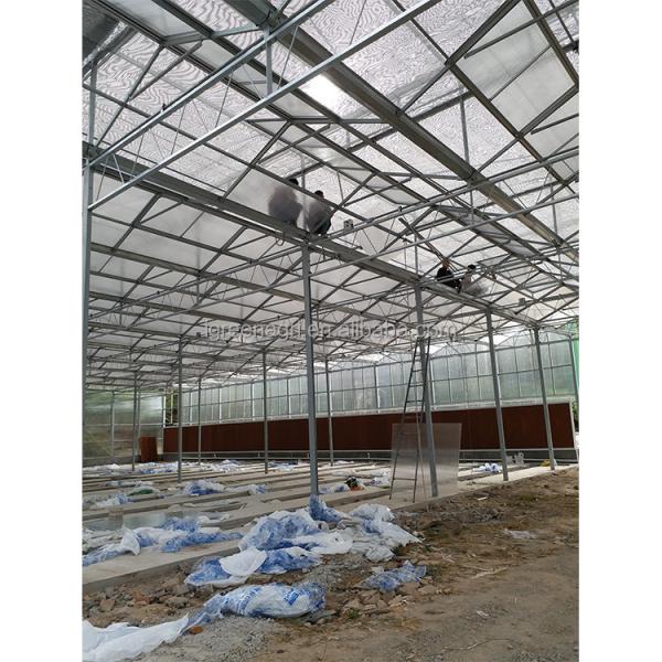 Customizable Commercial Polycarbonate Greenhouse High Shoulder For Agriculture