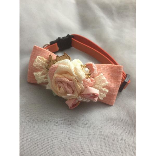 Практически персонализированный запирать воротников кота облегченный быстрый/вып