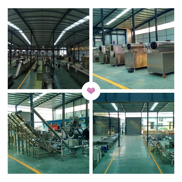 Silver Puffed Core Filling Food Machine The Perfect Snack Extruder for Silver Snacks