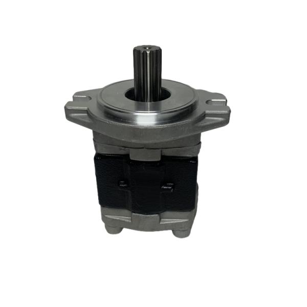 Steel Material Gear Pump with Long Working Life for CPC(D)20-35 Forklift Hydraulic System