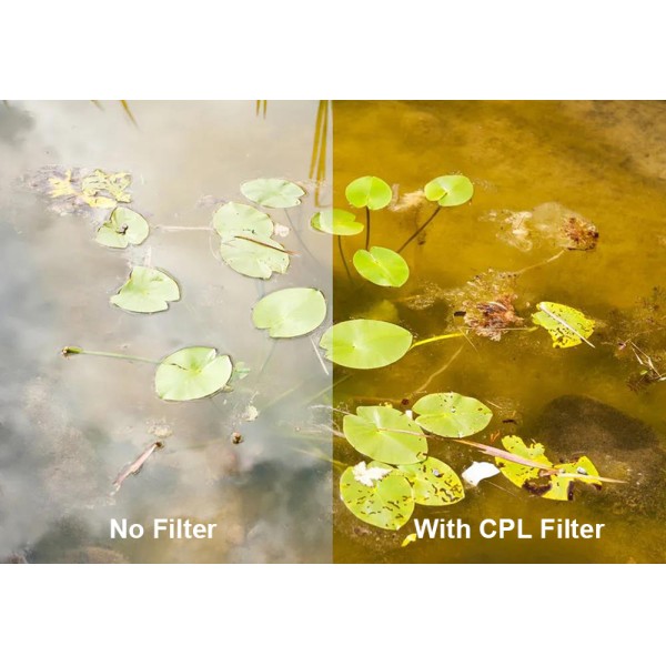 37mm 58mm 67mm 77mm 82mm CPL Lens Filter OEM Customizable Polarizer Camera Filters