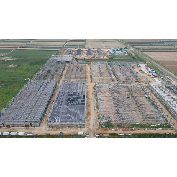 Custom Multi-story Prefabricated Steel Structure Industrial Factory Building