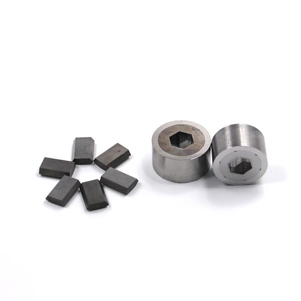 Professional Customized Punch Die Carbide Segmented Dies