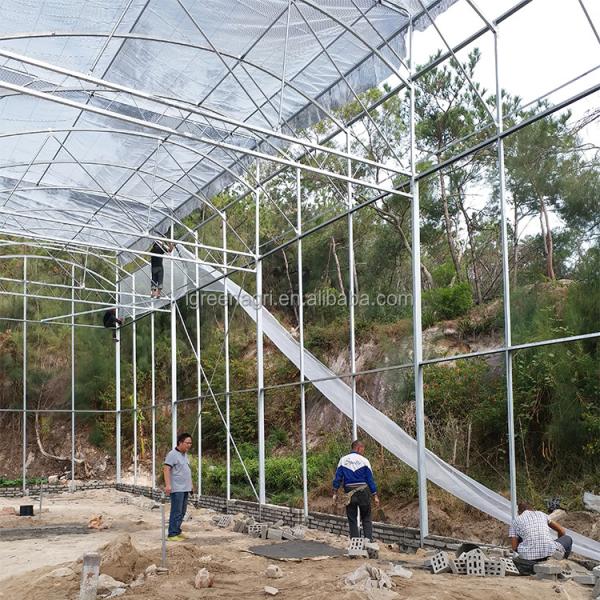 Single Layer Greenhouse Hydroponics System Wrought Iron Greenhouse With Film Surface