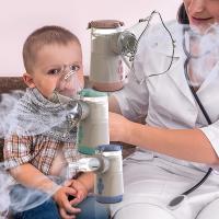 Cantidad de flujo ajustable ≥ 0,2 ml/min-0,6 mL/min Inhalador portátil de malla