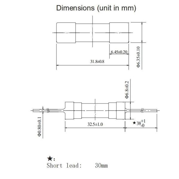 дуновение 6X30mm миниатюрного плавкого патрона 6.35x30mm керамическое быстрое быстро действуя