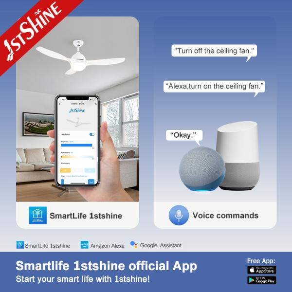 CCC Certified 1stshine White 220V DC Motor 6 Speeds Remote Control LED Ceiling Fan for Home Office