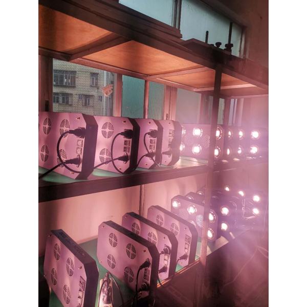 RikoLite 300W Full Spectrum Plant Led Grow Lights For Growing Plants