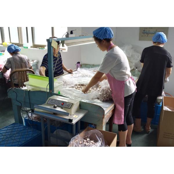 Electroplating Painting Perfume Dispenser Pump Tight Sealing Performance