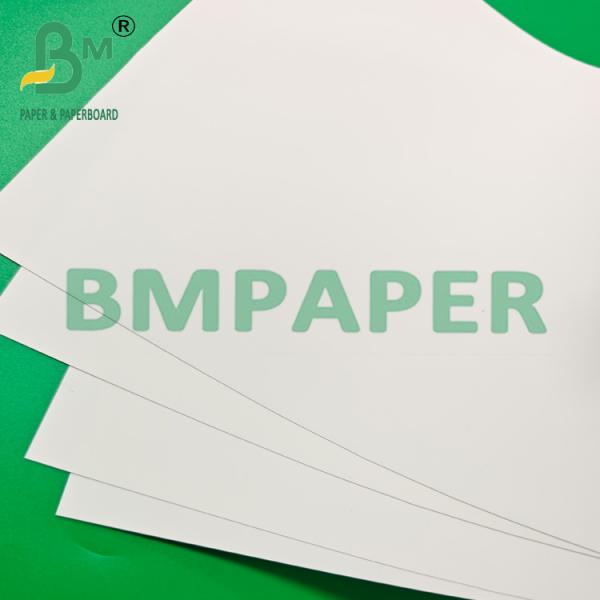 Glossy White Waterproof PP Synthetic Paper Roll For Poster Glossy White Waterproof PP Synthetic Paper Roll For Poster