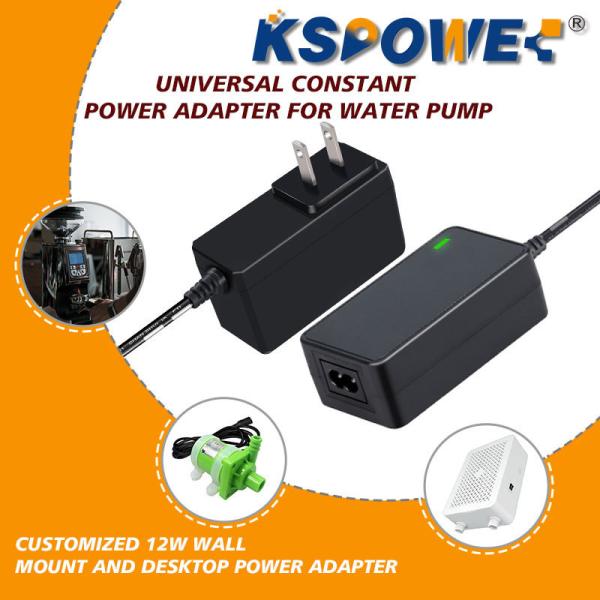 Wall Mounted 12V 1A Power Adapter For Coffee Maker Water Purifier Pump 24V 0.5A