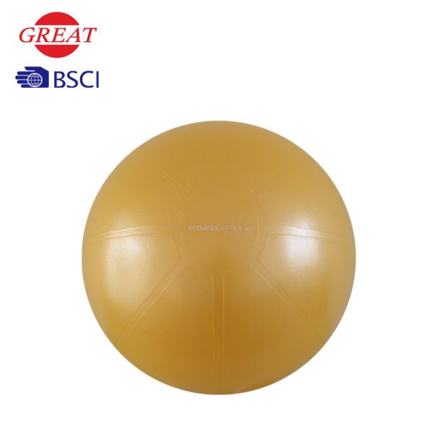 Customized Yoga 45cm Pvc Gym Ball For Fitness Club