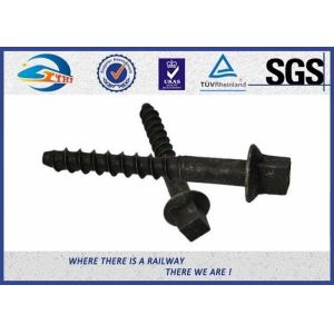 Железнодорожные крепежные детали АРЭМА/ДИН571 упрощают шипы винта масла черные