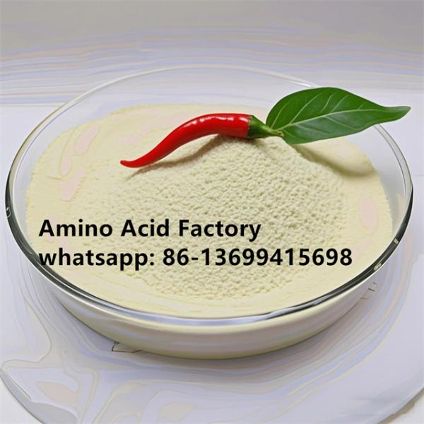 Improve Fruit Set And Nutrient Transport With Calcium Boron Potassium Fertilizer For Pepper Plants