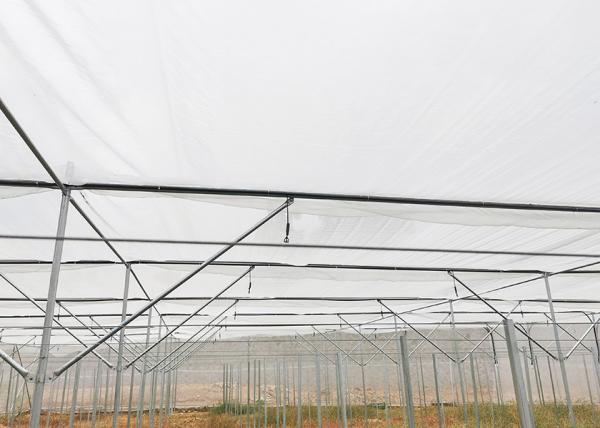 Strong Frame Metal Frame Greenhouse For Potted Flower Cultivation