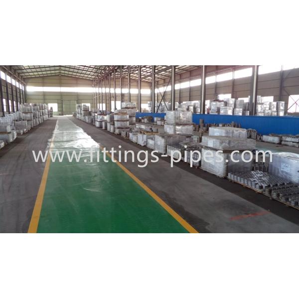 PN2.5.MPa Butt Welding Flange , M10 M27 Stainless Steel Forged Flanges