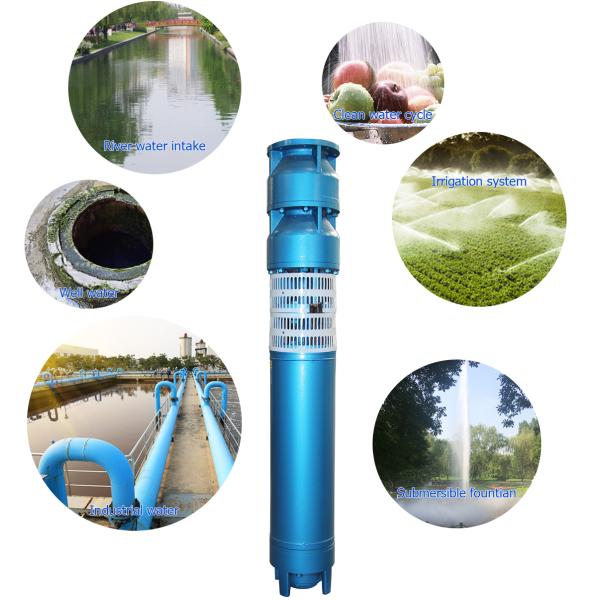 220kw 260kw 300kw 600m3/H Cast Iron Submersible Pumps